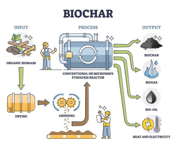 How to Make Biochar Infographic
