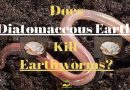 Does Diatomaceous Earth kill Earthworms