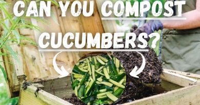 Can You Compost Cucumber